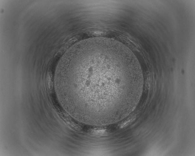 X0000065970651200603101358