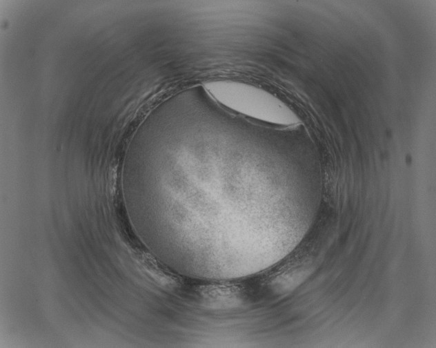 X0000065970652200603101358