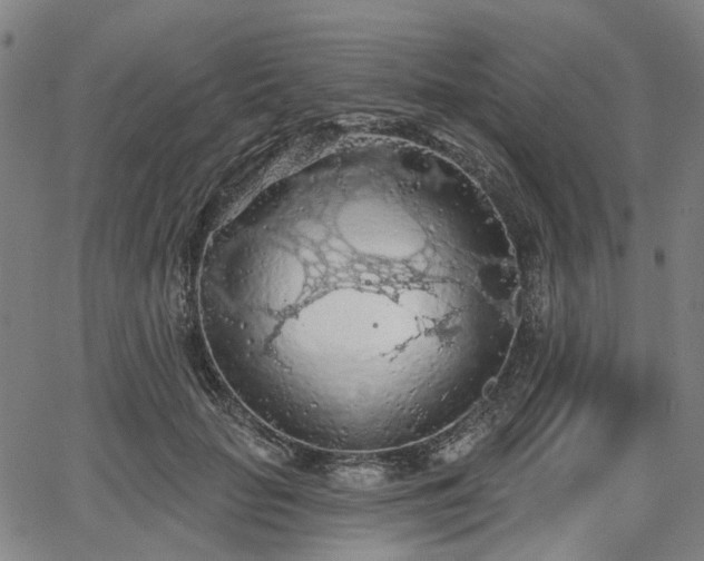 X0000065970653200603101358