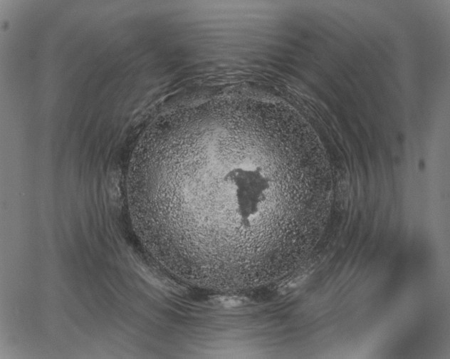 X0000065970654200603101358