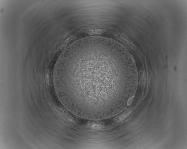 X0000065970655200603101358