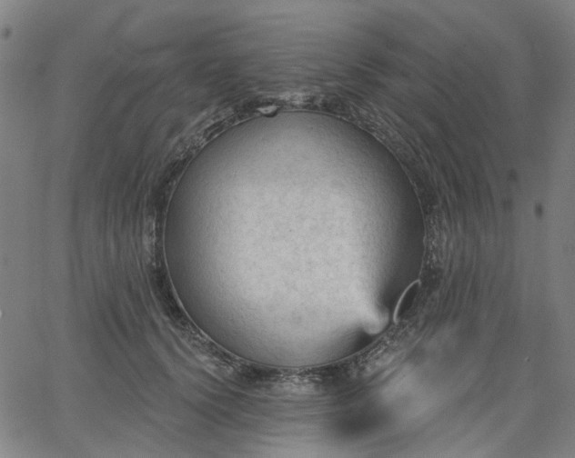 X0000065970656200603101358