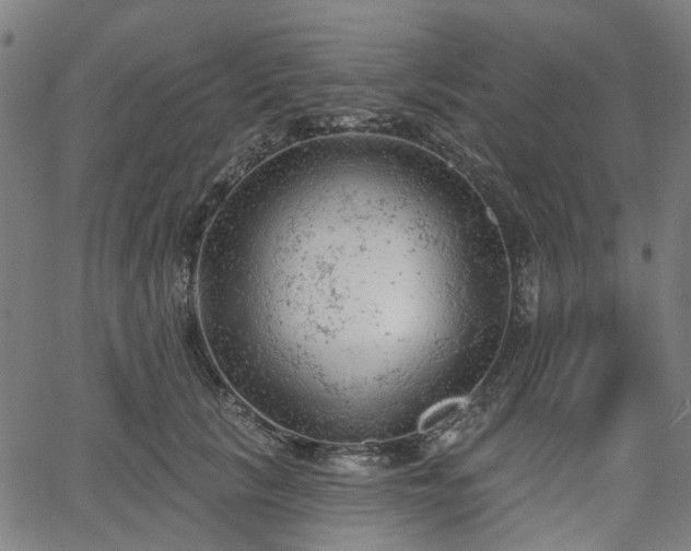 X0000065970657200603101358