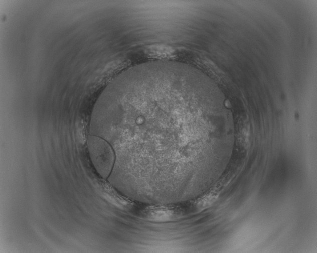 X0000065970658200603101358