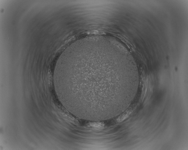 X0000065970659200603101358