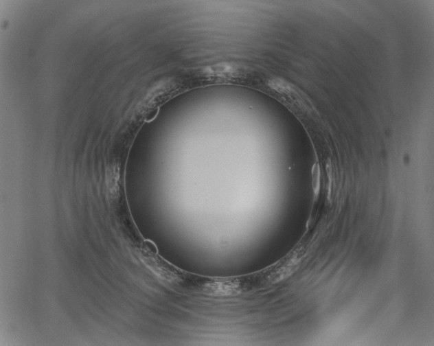 X0000065970660200603101358