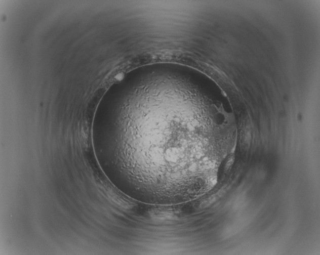 X0000065970661200603101358