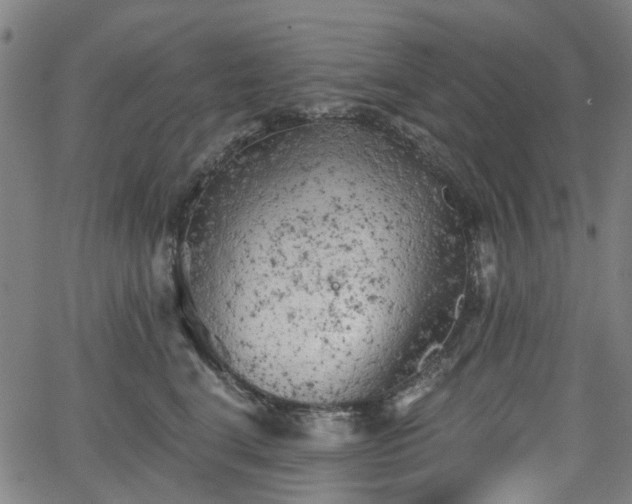 X0000065970664200603101358