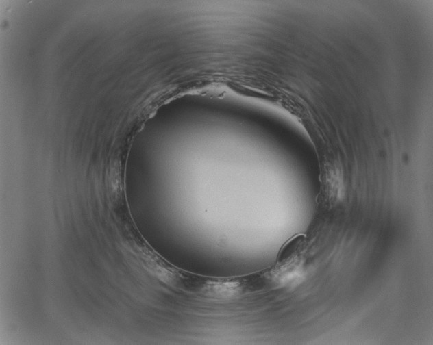 X0000065970665200603101358