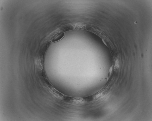 X0000065970666200603101358