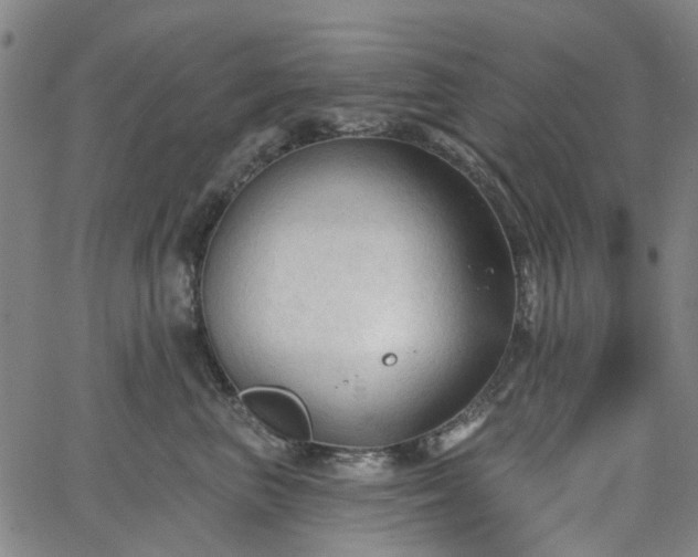 X0000065970667200603101358