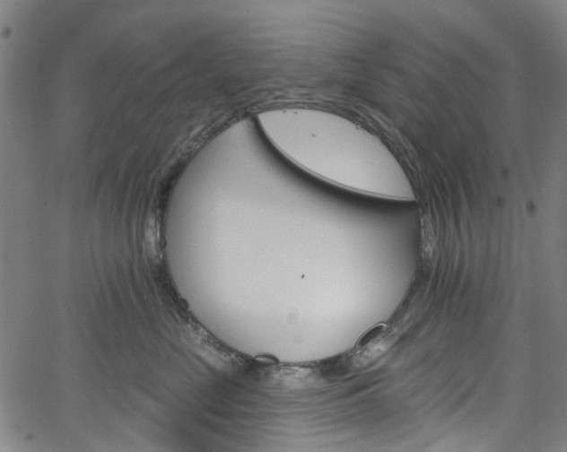 X0000065970669200603101358