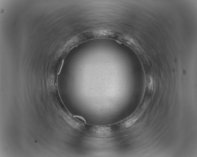 X0000065970670200603101359