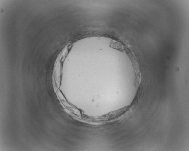 X0000065970672200603101359