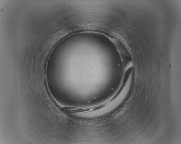 X0000065970673200603101358