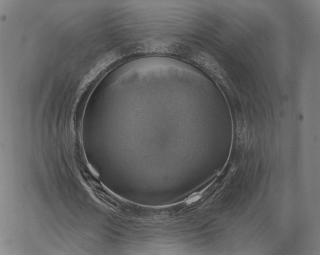 X0000065970674200603101358