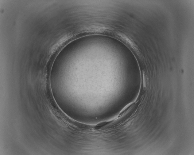 X0000065970675200603101358