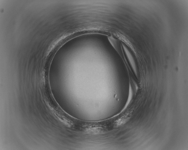 X0000065970676200603101358