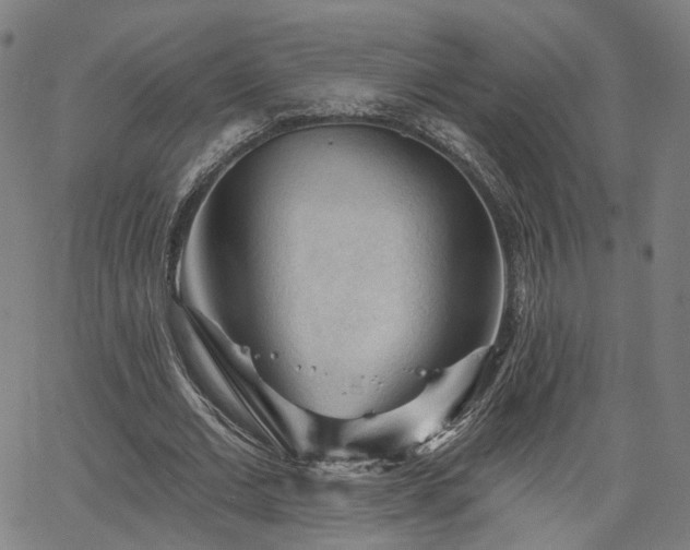 X0000065970677200603101358