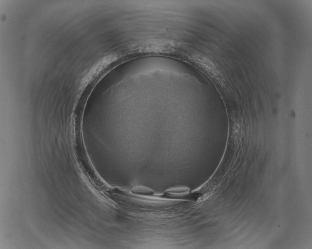 X0000065970678200603101358