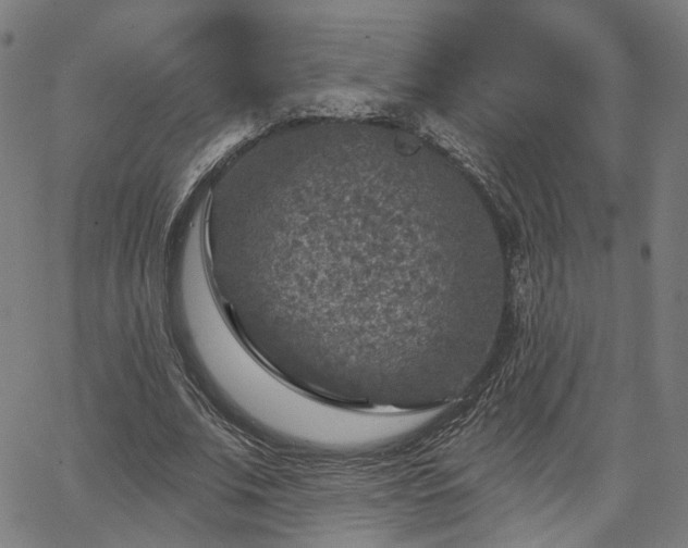 X0000065970679200603101358