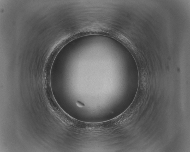 X0000065970680200603101358