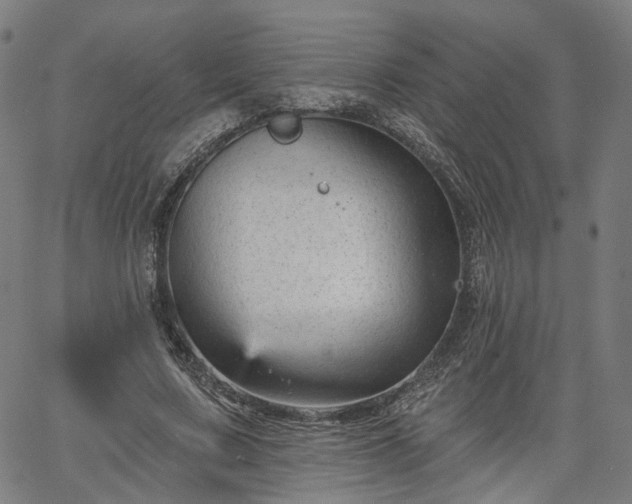 X0000065970683200603101358