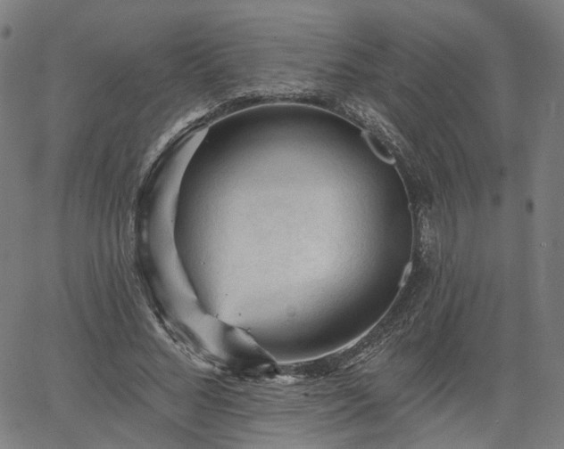 X0000065970684200603101358