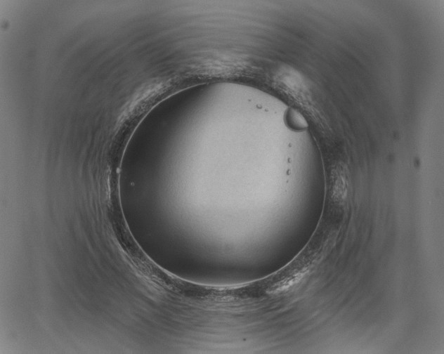 X0000065970685200603101358