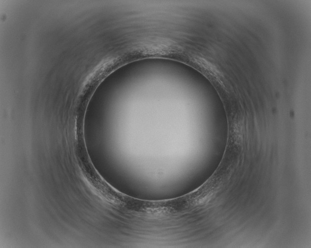 X0000065970686200603101358