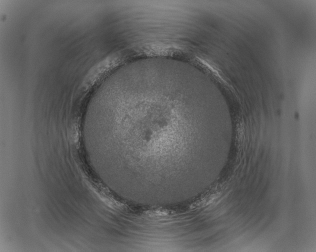 X0000065970687200603101358