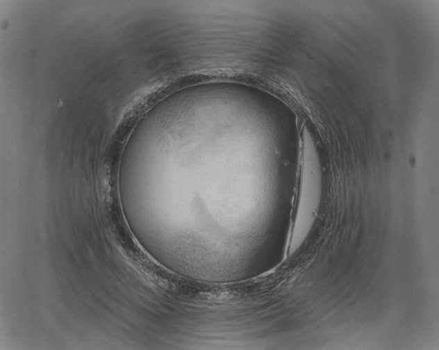 X0000065970688200603101358