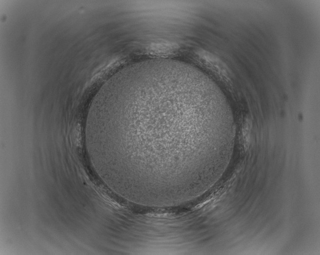 X0000065970689200603101358