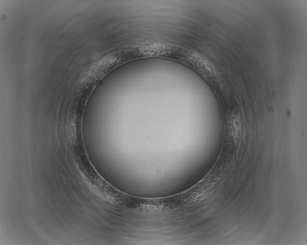 X0000065970690200603101357