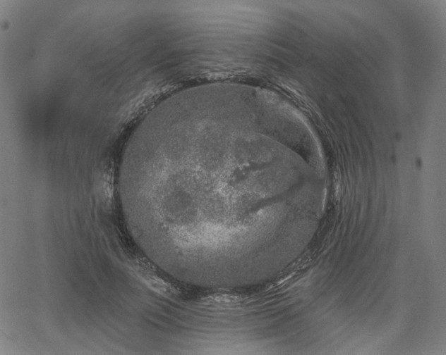 X0000065970691200603101357