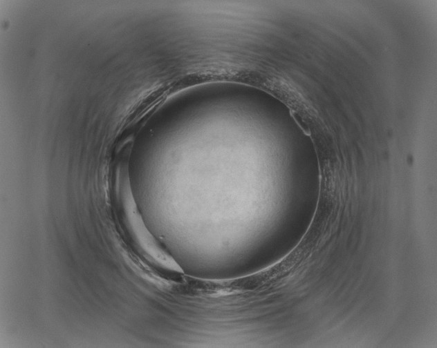 X0000065970692200603101357