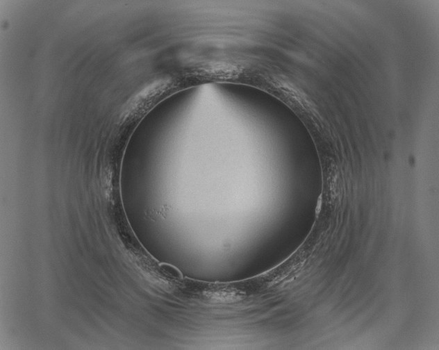 X0000065970693200603101357