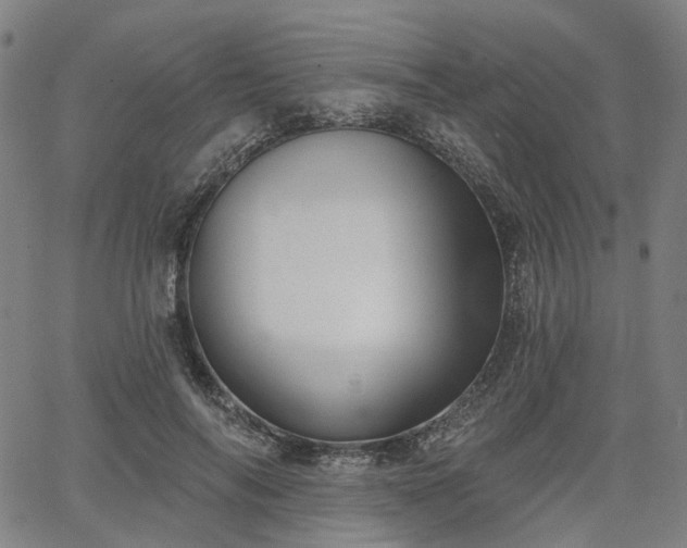 X0000065970694200603101357