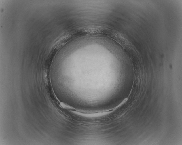 X0000065970696200603101357