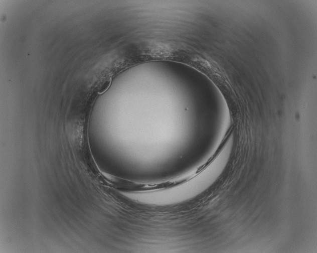 X0000065970697200603101357