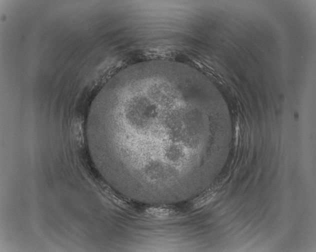 X0000065970699200603101357