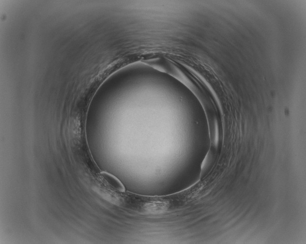 X0000065970700200603101357