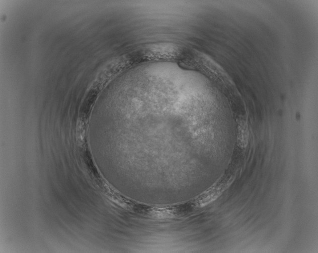 X0000065970701200603101357