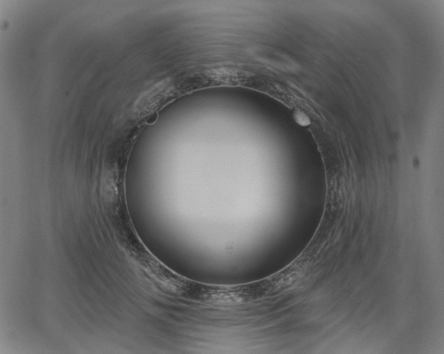 X0000065970702200603101357