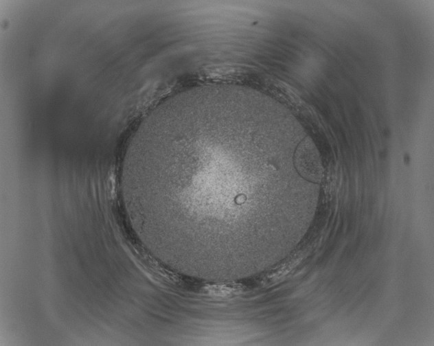 X0000065970703200603101357