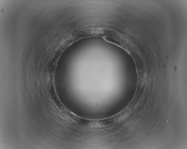 X0000065970704200603101357