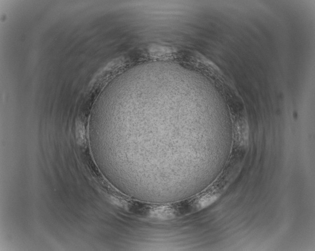 X0000065970705200603101357