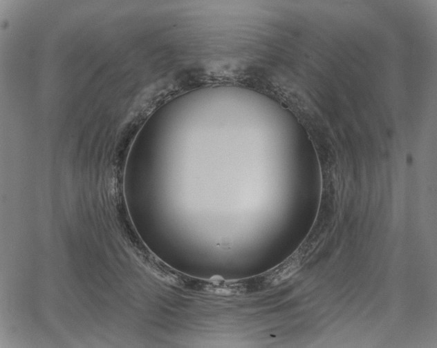 X0000065970706200603101357