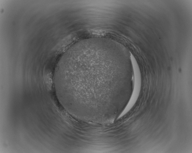 X0000065970707200603101357