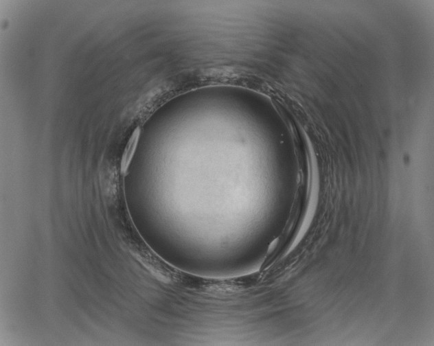 X0000065970708200603101357